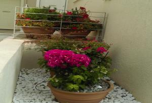 Αμέσως μετά τη διαμόρφωση του