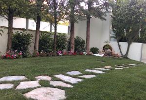 Αμέσως μετά τη διαμόρφωση του